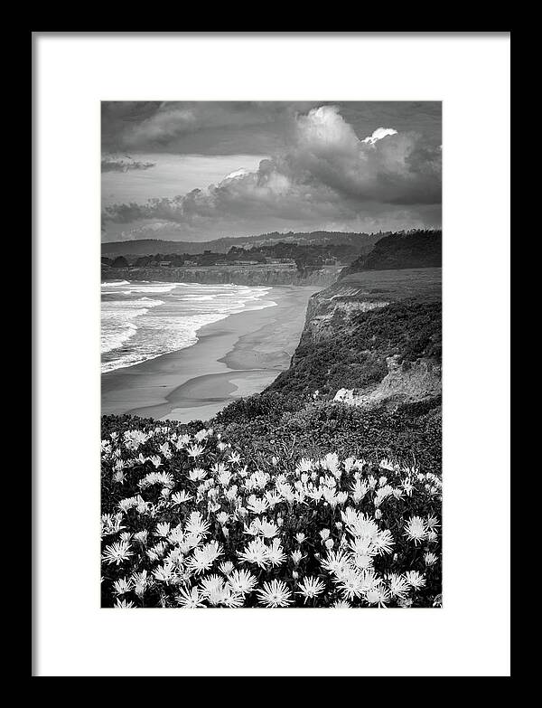 Beach Framed Print featuring the photograph Orange Flower Coastline by Mike Fusaro