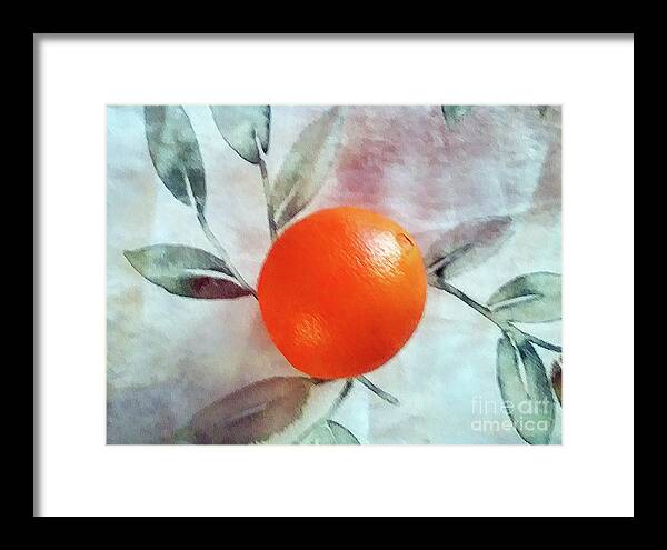 Orange Framed Print featuring the photograph Orange I see by Rita Brown