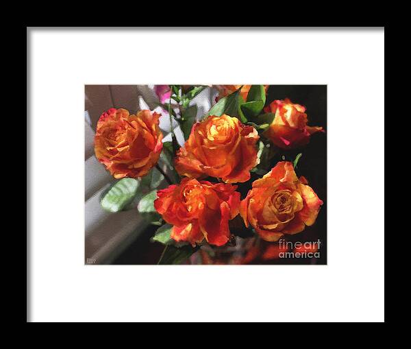 Flowers Framed Print featuring the photograph Orange Roses Too by Brian Watt
