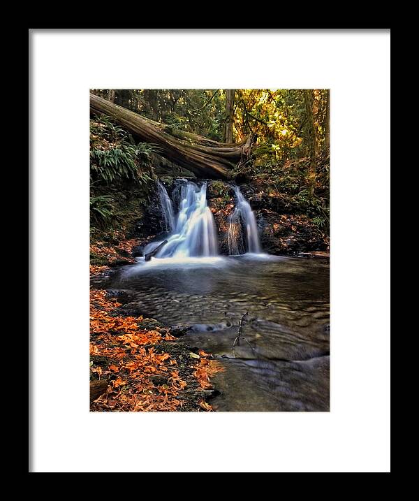 Orcas Island Framed Print featuring the photograph Orcas Island Waterfall by Jerry Abbott