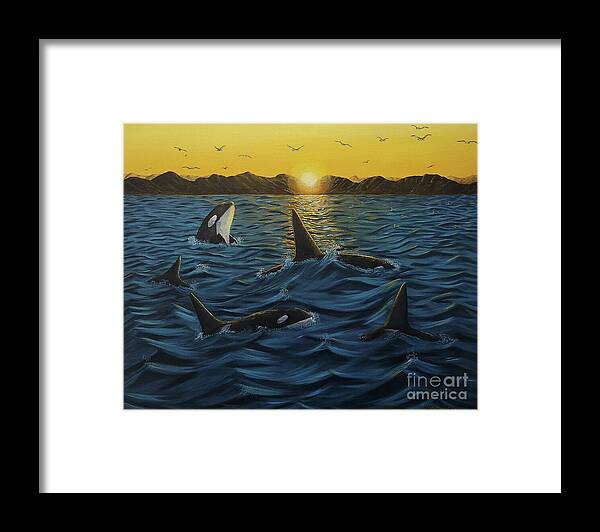 Orcas Framed Print featuring the painting Orcas Sunset by Jimmy Chuck Smith