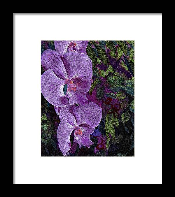 Orchid Framed Print featuring the photograph Orchids 211 by Corinne Carroll