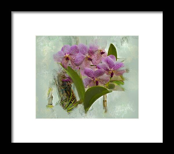 Orchids Framed Print featuring the digital art Orchids at Mount Holyoke College by Cordia Murphy