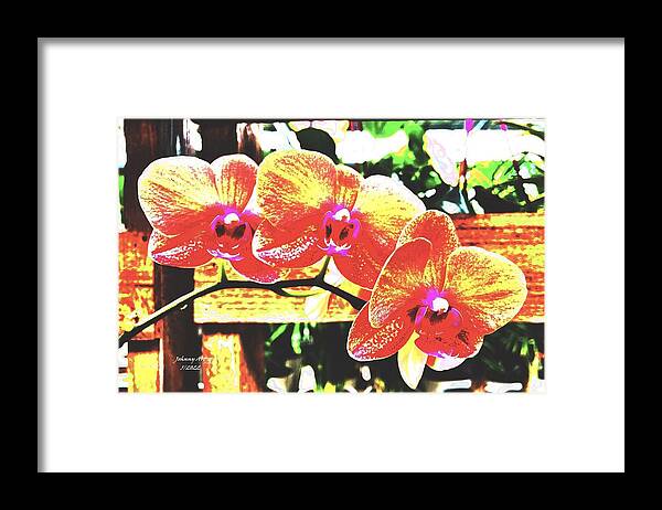 Orchids Framed Print featuring the photograph Orchids Have Fun by John Anderson
