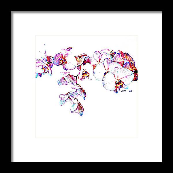 Orchids On White Framed Print featuring the photograph Orchids ON White-VIVA22 by VIVA Anderson