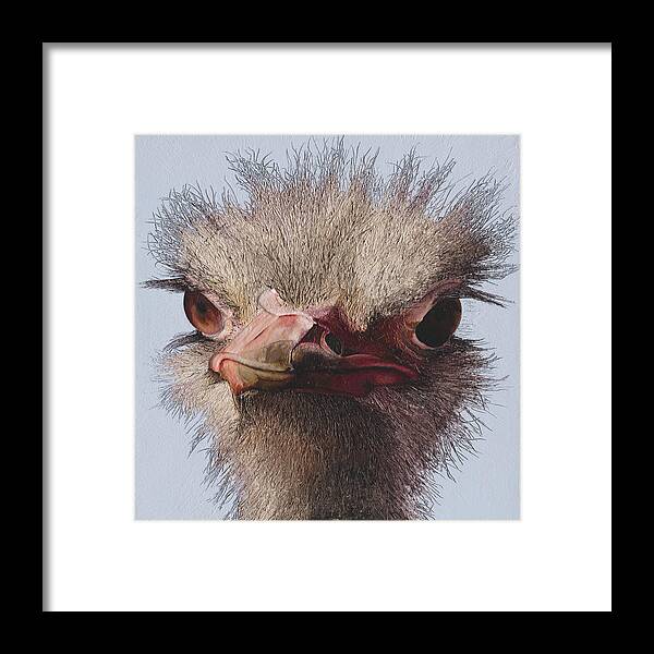 Ostrich Framed Print featuring the painting Ostrich by Russell Hinckley
