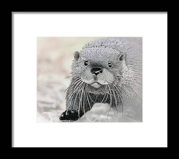 Otter Framed Print featuring the mixed media Otter approaching, mixed media. by Tony Mills