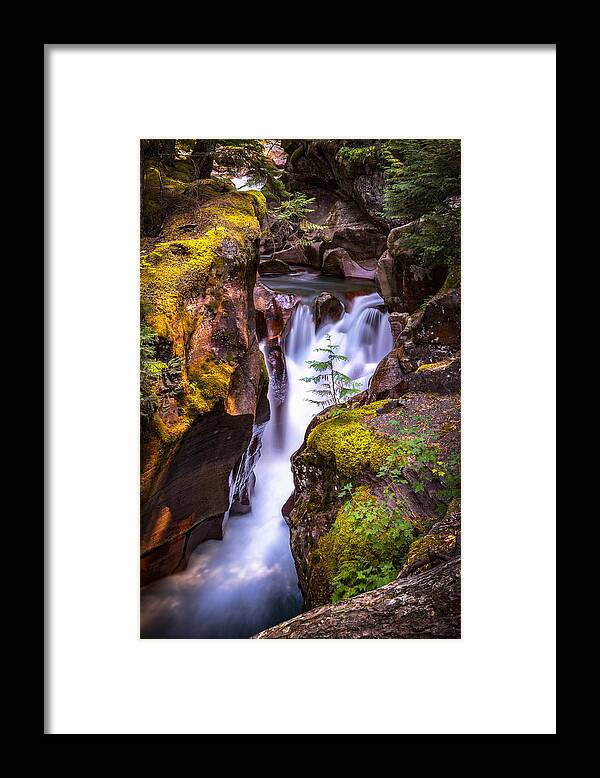 Avalanche Gorge Framed Print featuring the photograph Out On A Ledge by Ryan Smith