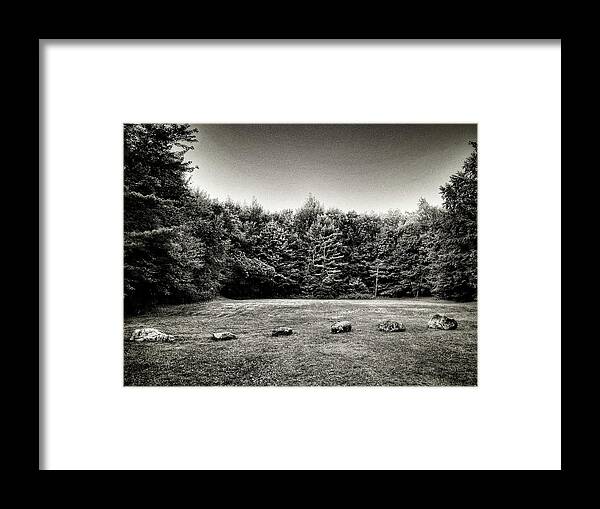 Pines Framed Print featuring the photograph Outer Loop by Robert Dann