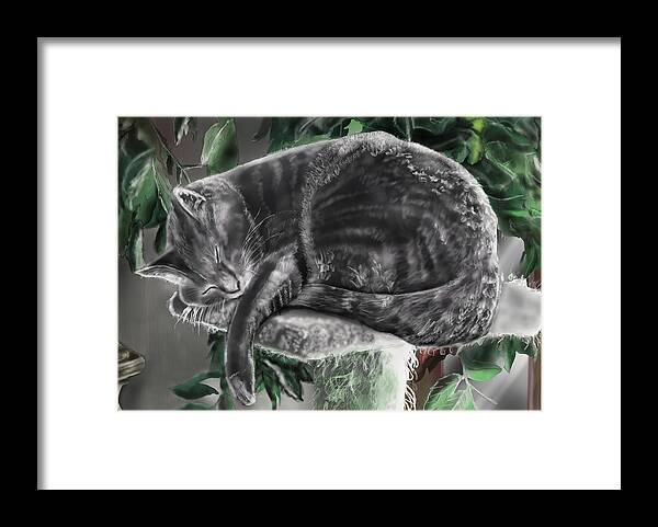Animal Portrait Framed Print featuring the painting Overdue Cat nap by Rob Hartman