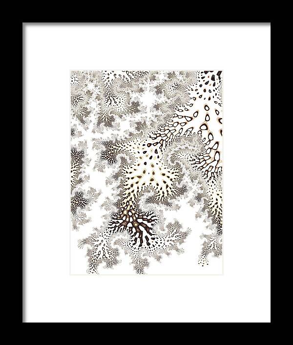 Fractal Framed Print featuring the digital art Owl Feather by Mary Ann Benoit