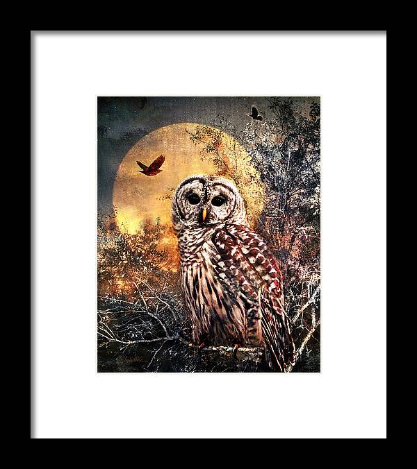 Photography Framed Print featuring the photograph Owl in Moonlight by Shara Abel