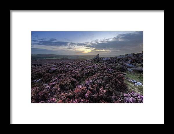 Flower Framed Print featuring the photograph Owler Tor 40.0 by Yhun Suarez