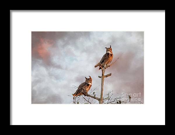 Great Horned Owl Framed Print featuring the digital art Owls at Dusk - Stormy Sky by Jayne Carney