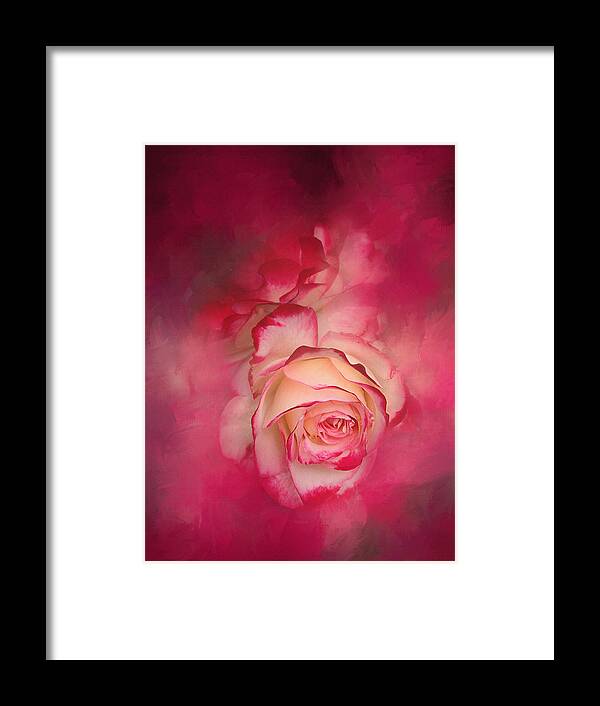 Floral Framed Print featuring the photograph Painted Flamenco Rose by Theresa Tahara