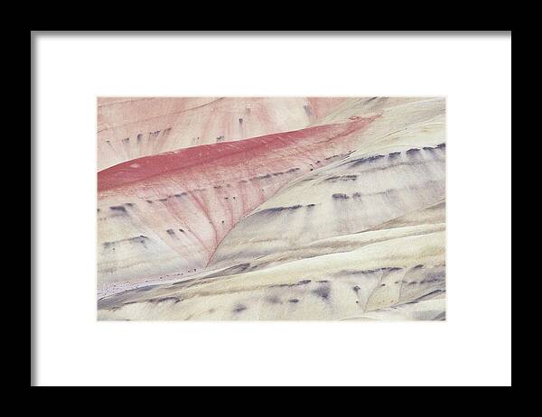 Oregon Framed Print featuring the photograph Painted Hills Oregon Textures 1 by Leland D Howard