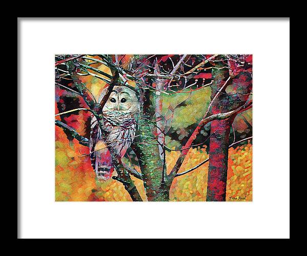 Owls Framed Print featuring the photograph Painted Owl by Trina Ansel