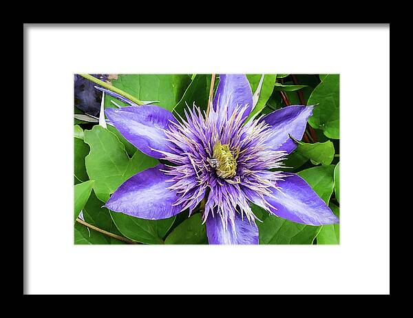 Flower Framed Print featuring the photograph Painterly Water Lily by Gary Slawsky