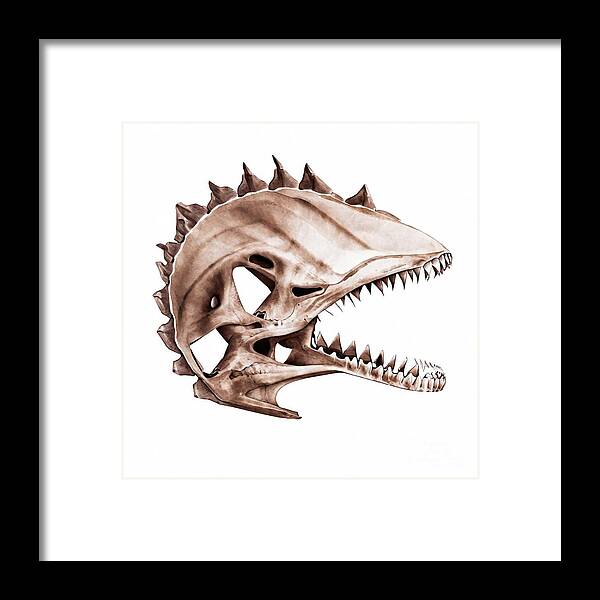 Animal Framed Print featuring the painting Painting Dilaphosaurus Skull animal dinosaur preh by N Akkash