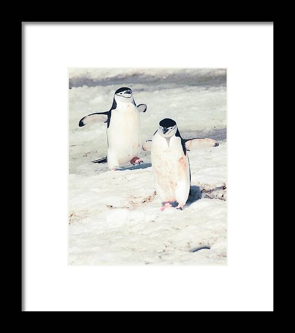 03feb20 Framed Print featuring the photograph Palaver Point Welcoming Party Pair by Jeff at JSJ Photography