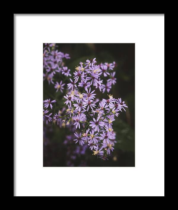 Flower Framed Print featuring the photograph Pale Purple Wildflowers by Jason Fink