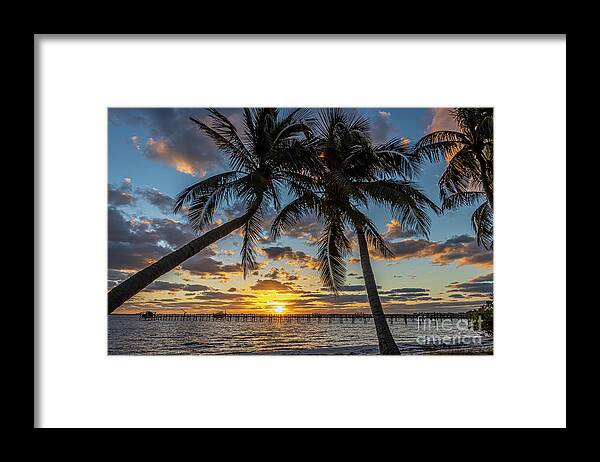 Sun Framed Print featuring the photograph Palm and Pier Sunrise by Tom Claud