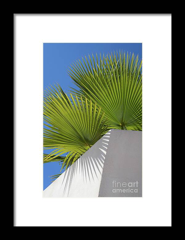 Palm Leaf Framed Print featuring the photograph Green palm leaves, blue sky and white wall of a modern finca 1 by Adriana Mueller