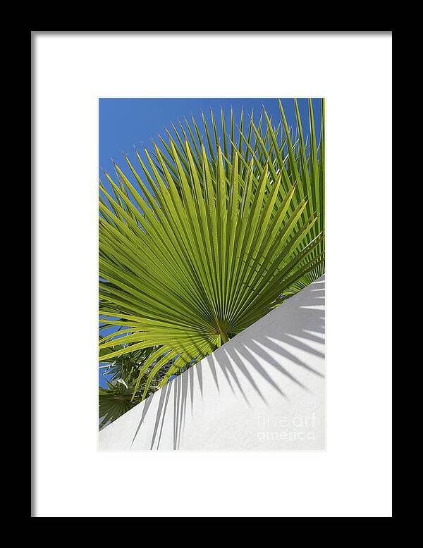 Palm Leaf Framed Print featuring the photograph Green palm leaves, blue sky and white wall of a modern finca 2 by Adriana Mueller