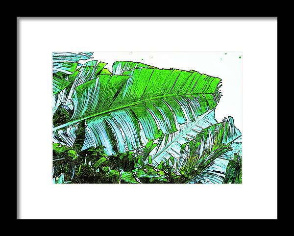Tropical Framed Print featuring the mixed media Palm Tree Frond by Pamela Williams