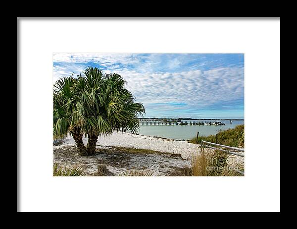 Palm Framed Print featuring the photograph Palm Tree on Quietwater Beach by Beachtown Views
