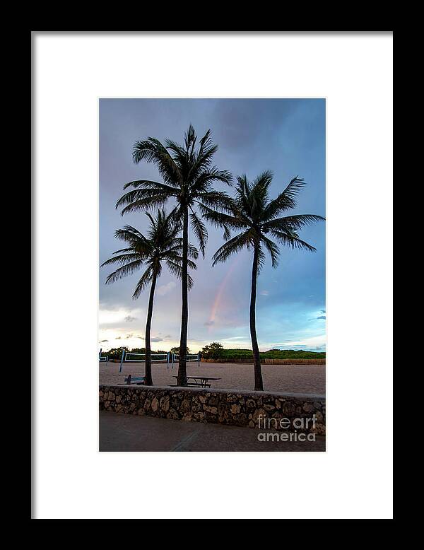 Rainbow Framed Print featuring the photograph Palm Tree Rainbow, South Beach, Miami, Florida by Beachtown Views