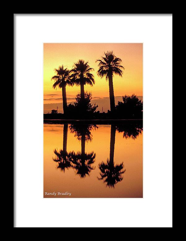 Phoenix Framed Print featuring the photograph Palm Tree Reflection by Randy Bradley