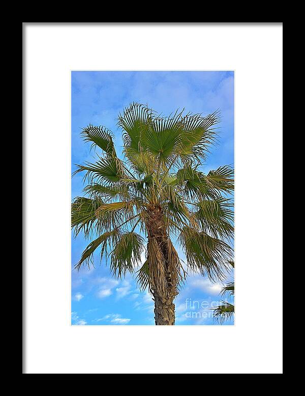 Andalusia .andalucia Framed Print featuring the photograph Palm Tree by Yvonne M Smith