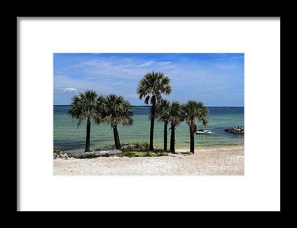 Palm Framed Print featuring the photograph Palm Trees on Pensacola Beach by Beachtown Views
