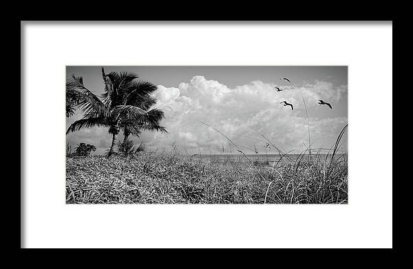 Black Framed Print featuring the photograph Palm Trees on the Sand Dunes Black and White by Debra and Dave Vanderlaan