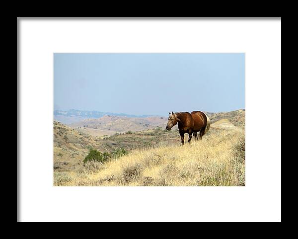 Palomino Framed Print featuring the photograph Palomino in the Badlands by Katie Keenan