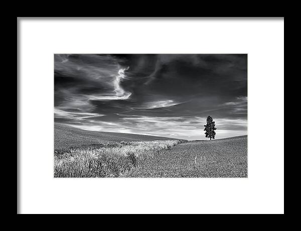 Contrast Framed Print featuring the photograph Palouse Textures and Form by Leland D Howard