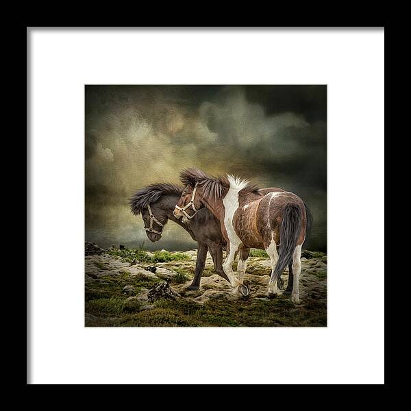Iceland Framed Print featuring the digital art Pals by Maggy Pease