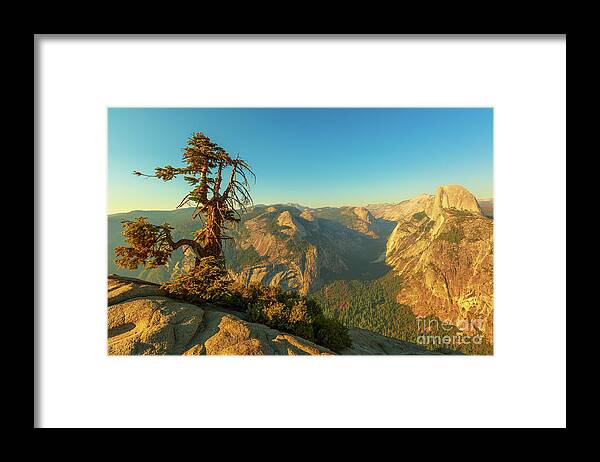 Yosemite Framed Print featuring the photograph panorama tree at Glacier Point by Benny Marty