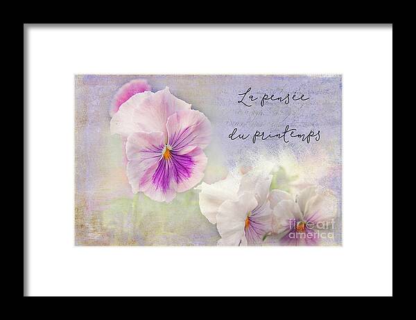 Pansy Framed Print featuring the photograph Pansy Time by Marilyn Cornwell