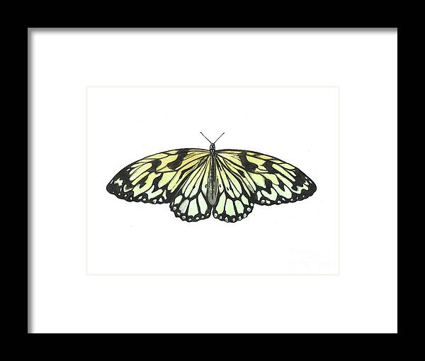 Butterfly Framed Print featuring the painting Paper Kite Butterfly by Pamela Schwartz