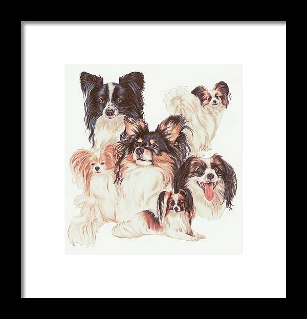 Toy Group Framed Print featuring the mixed media Papillon and Phalene Montage by Barbara Keith
