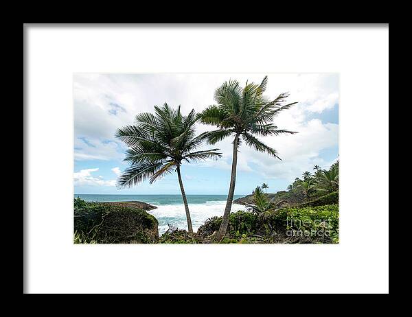 Cerro Gordo Framed Print featuring the photograph Parque nacional Cerro Gordo, Puerto Rico by Beachtown Views