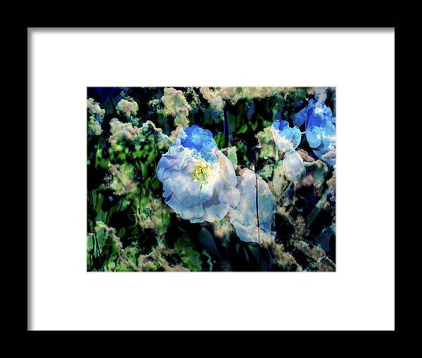 White Framed Print featuring the photograph Partly Sunny with a Chance of Tulips by Mike McBrayer