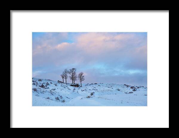 Winter Framed Print featuring the photograph Party Of Five by Denise Bush