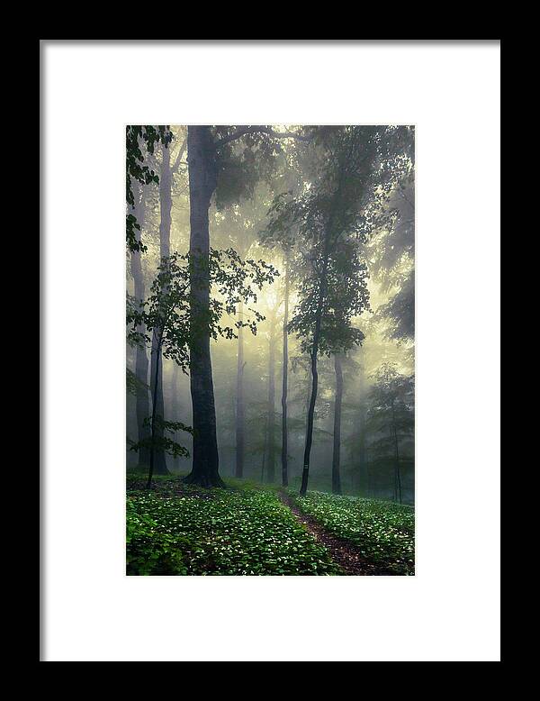 Balkan Mountains Framed Print featuring the photograph Path In the Mist by Evgeni Dinev