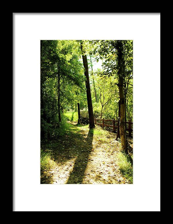 Trees Framed Print featuring the photograph Path out of Summer by Christopher Reed