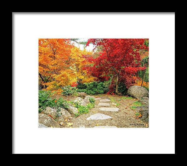 Trees Framed Print featuring the photograph Path Through Autumn by Randy Bradley