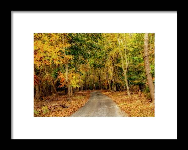 Autumn Framed Print featuring the photograph Path To Autumn by Cathy Kovarik