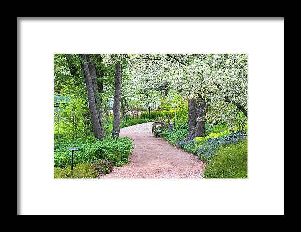 Path To Serenity Framed Print featuring the photograph Path to Serenity by Patty Colabuono